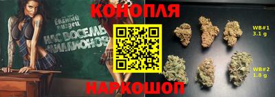 гидропоника Аргун